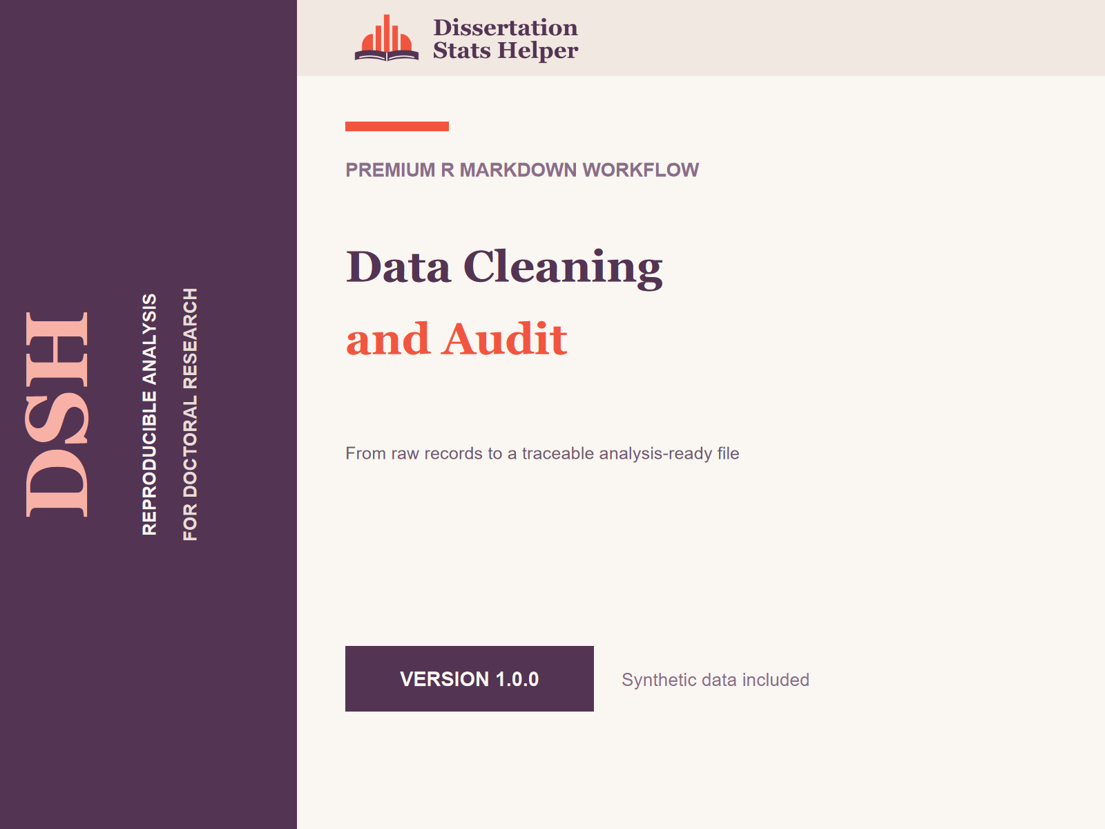 Data Cleaning and Audit — Dissertation Stats Helper product cover